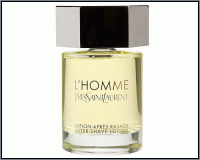 Yves St Laurent : L'Homme type (M)